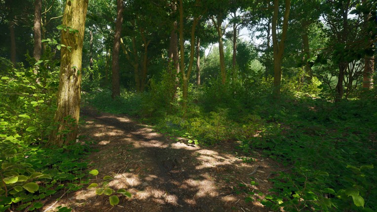 Nightwalk Simulator screenshot