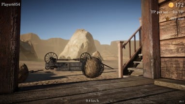 Tumbleweed Destiny Image