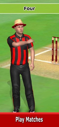 Cricket World Domination screenshot