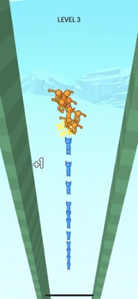 Crowd Falls Image