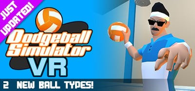 Dodgeball Simulator VR Image