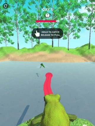 Frog Master 3D screenshot