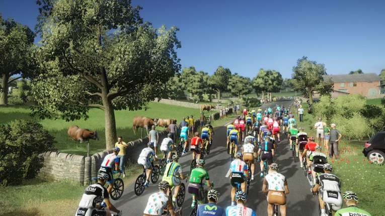 Tour de France 2014 screenshot