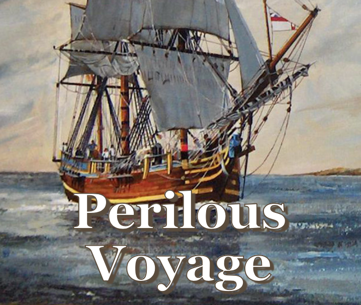 Games like Perilous Voyage