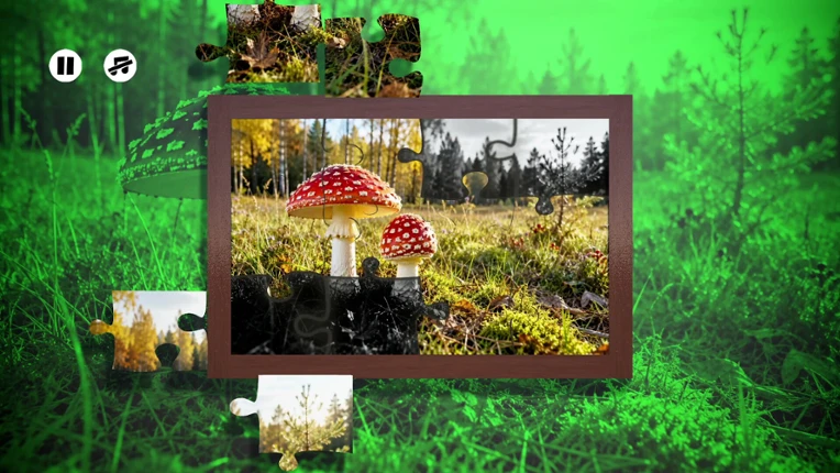 Puzzles Mushroom Image