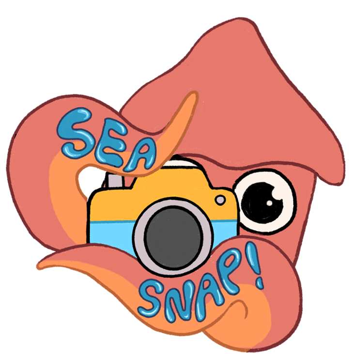 Games like Sea Snap!