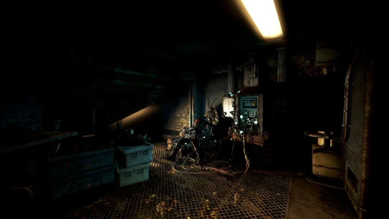 SOMA Image