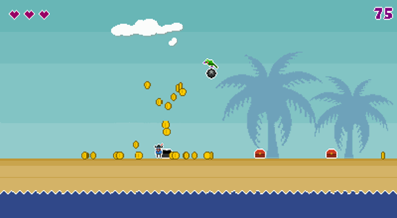 Tiny Pirate Captain screenshot