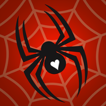 Spider Solitaire Image