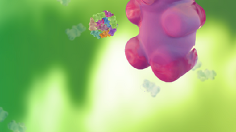 DUBOMANIA screenshot