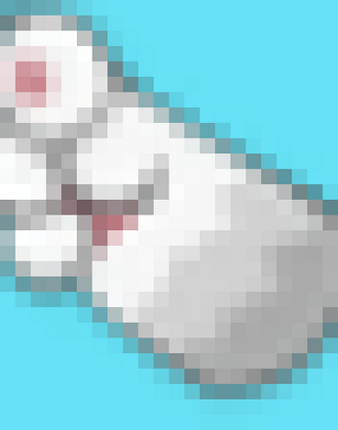 get the black cat phone mode [working] Image