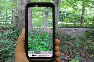 The AR Perpetual Garden Apps - Educational STEM Image