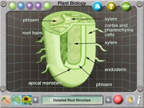 Plant Biology Explorer Image