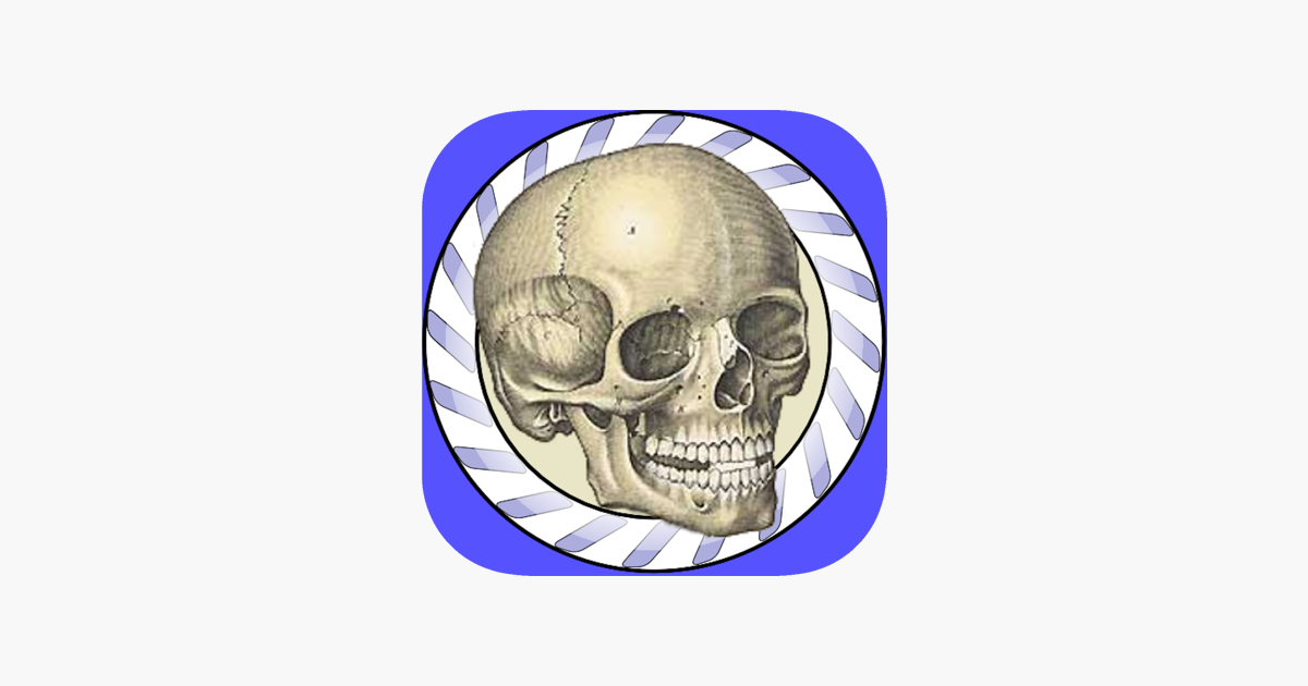 Games like Speed Bones Lite (Quiz)