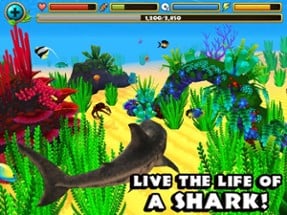 Wildlife Simulator: Shark Image