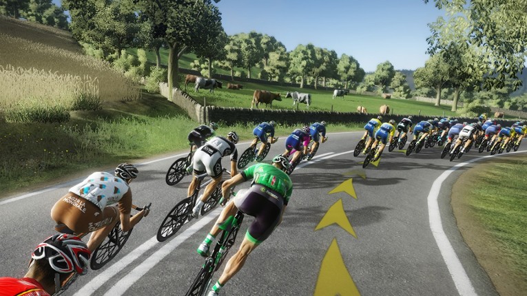 Tour de France 2014 screenshot