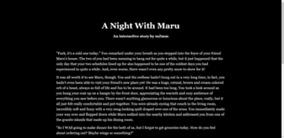 A Night With Maru Image