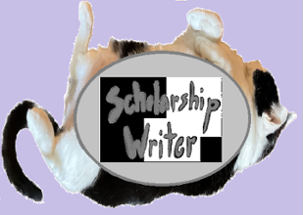 Scholarship Writer Image