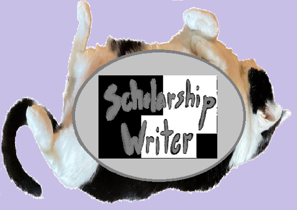 Scholarship Writer Game Cover