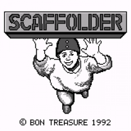 Scaffolder Image