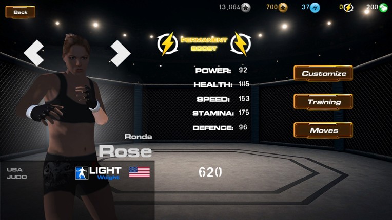 UFC Simulator MMA Championship Image