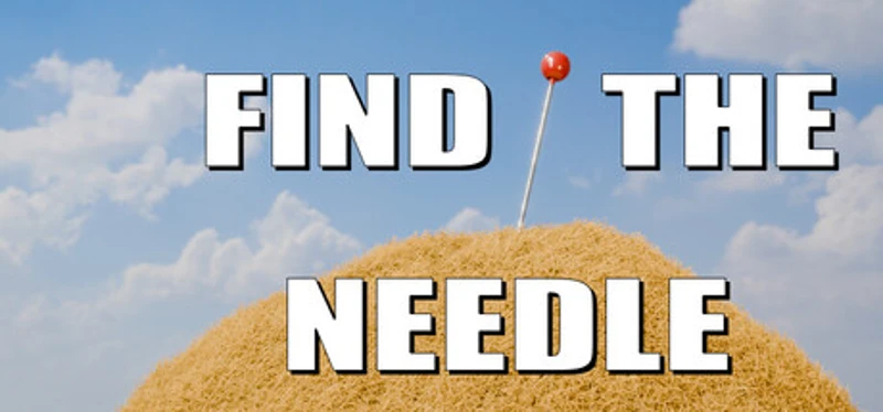 Find The Needle Image