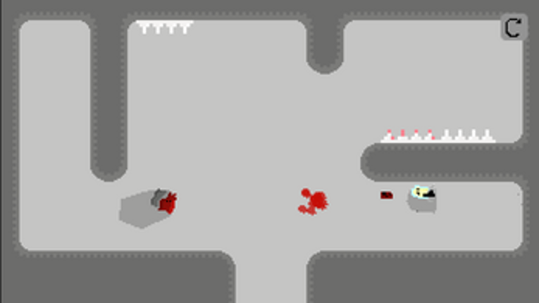 Last dash Image