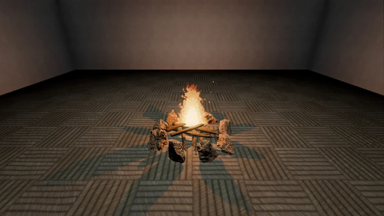 Lost Item Image