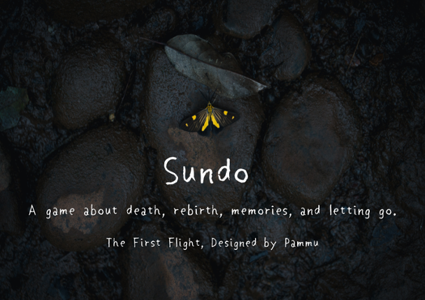 Sundo: The First Flight Image