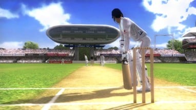 Ashes Cricket 2009 Image