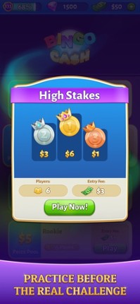 Bingo Cash screenshot