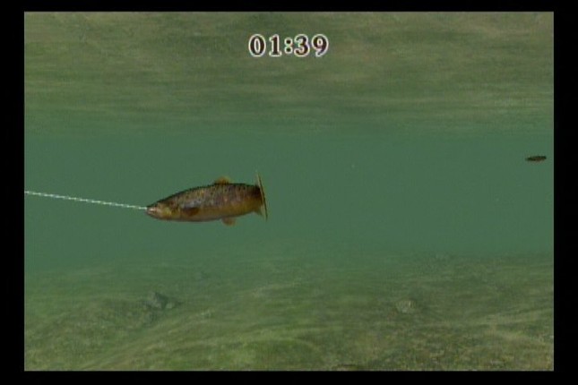 Reel Fishing Challenge Image