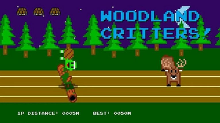 Hurdle Turtle Classic Image