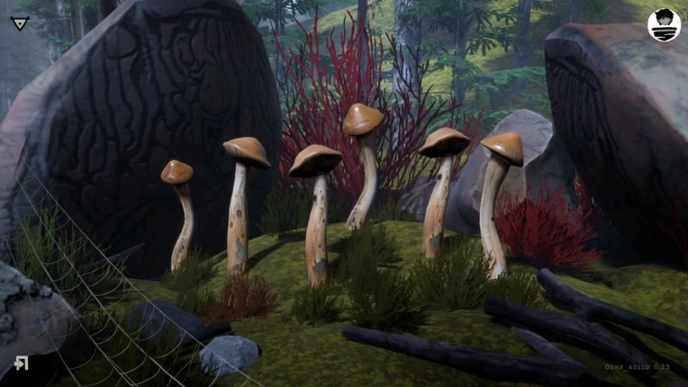 ORMS screenshot