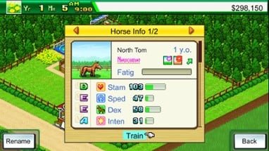 Pocket Stables Image