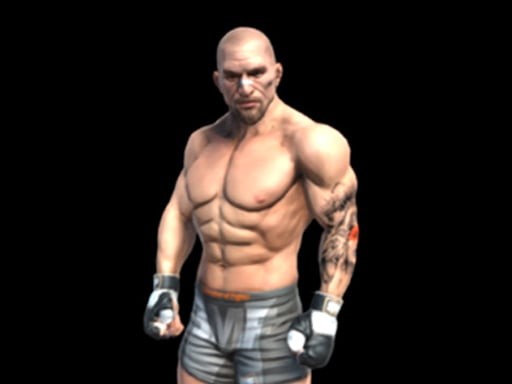 Games like Fight Arena Online