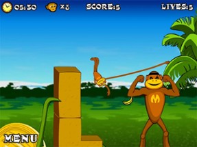 Jungle Spider Monkey:SuperHero Adventure Image