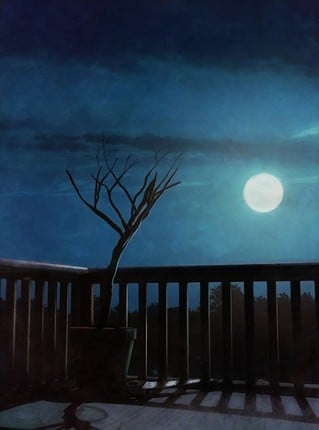 Spirits of Carter Mansion screenshot
