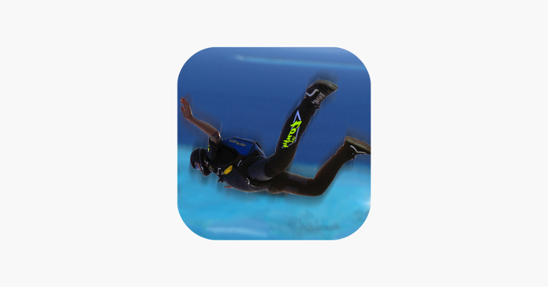 Air Stunts : Sky Dive Flying Simulator 3D Image
