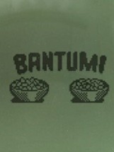 Bantumi Image