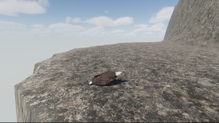 Bird Game 3 screenshot