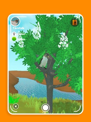 DR Naturspillet screenshot