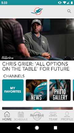 Miami Dolphins Image