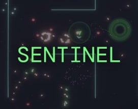 SENTINEL Image