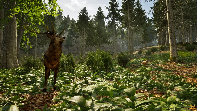 Park Ranger Simulator screenshot