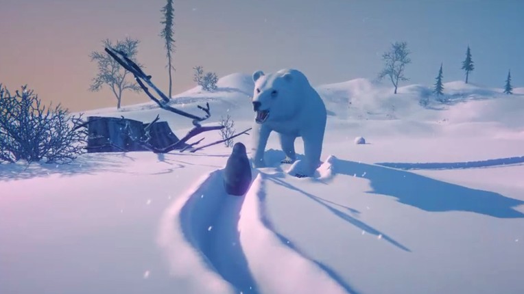 The Seal Game Image