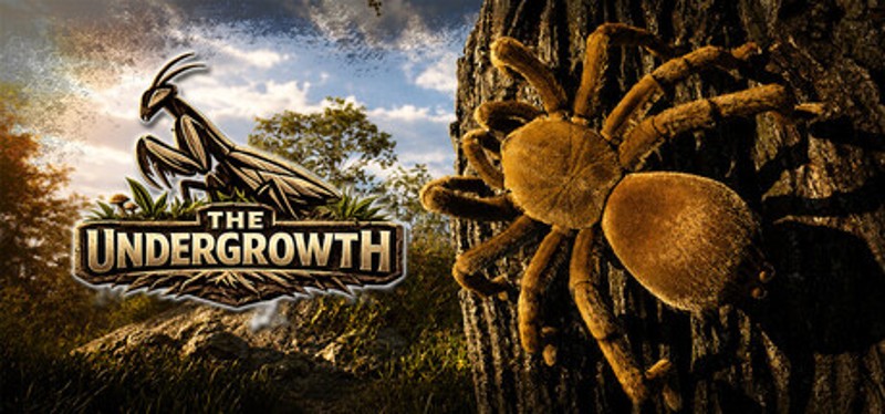 The Undergrowth Image