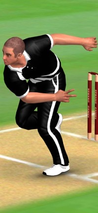 Cricket World Domination screenshot