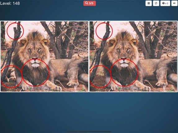 Find Differences * screenshot