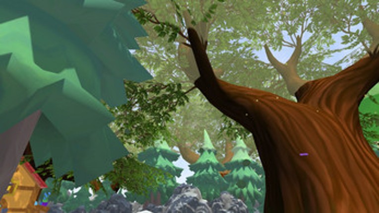 Short-Scale Forest Level Image